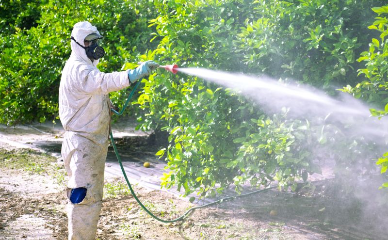 Commercial Fumigation in Wilmington, DE