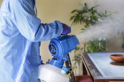 Fumigation Service in Fort Collins, CO
