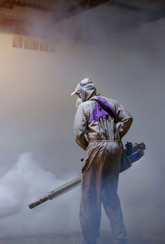 Rat Fumigation Service in Naperville, IL