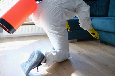 Spider Fumigation Service in Madison, WI