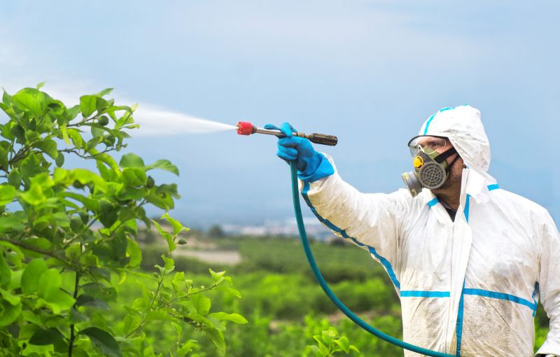 Fumigation Service in Myrtle Beach, SC