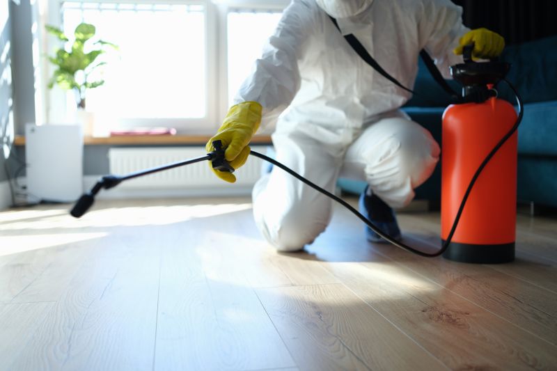 Insect Extermination Service in Katy, TX