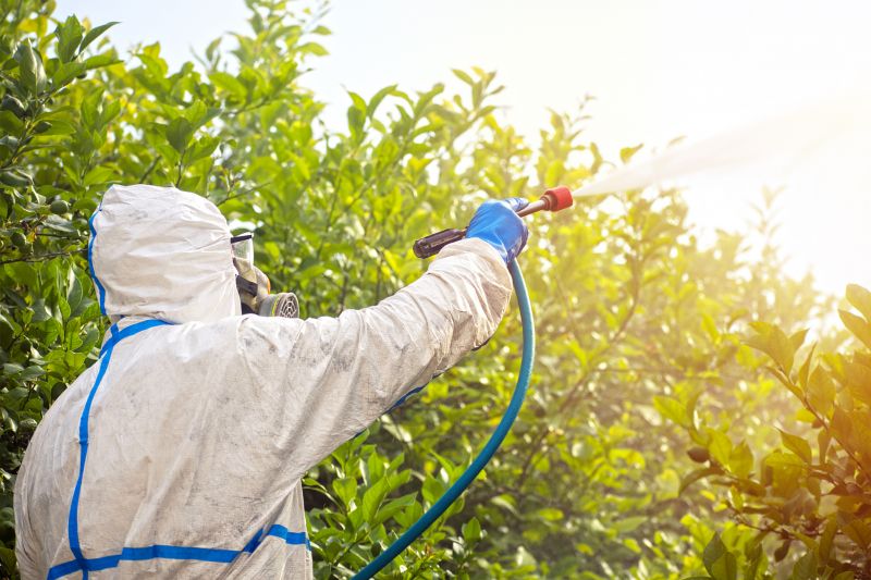 Pest Fumigation Service in Clarksville, TN