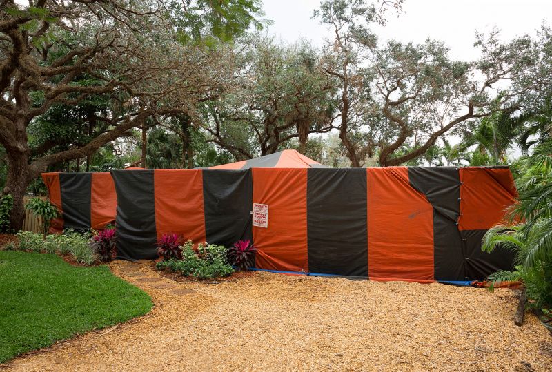 Termite Tenting in Bellingham, WA
