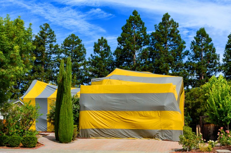 Termite Tenting in Clarksville, TN